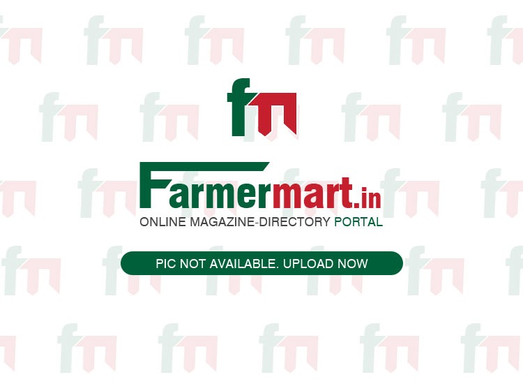 Farmer Mart Featured Business Listing