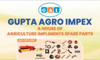 Gupta Agro Impex